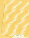 Graphic 45 Patterns & Solids Collection Pack 8.5"X11", Slice of Life (4503231)