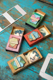 Sizzix Thinlits Dies By Tim Holtz 10/Pkg, Vault Matchbox (666604)