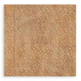 Stamperia Single-Sided Paper Pad 8"X8" 22/Pkg, All Around (SBBSXB25)
