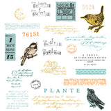 Sizzix A5 Clear Stamps With Framelits Die By 49 And Market, Bird Song (666704)