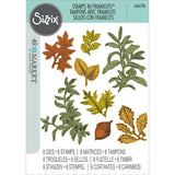 Sizzix A5 Clear Stamps With Framelits Die By 49 And Market, Forever Leaves (666706)