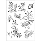 Sizzix A5 Clear Stamps With Framelits Die By 49 And Market, Forever Leaves (666706)