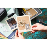 Sizzix Thinlits Die Set 10/Pkg By Tim Holtz, Vault Winter Wishes (666717)