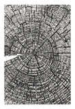 Sizzix, 3-D Texture Fades A5 Embossing Folder, Tree Rings by Tim Holtz (667258)