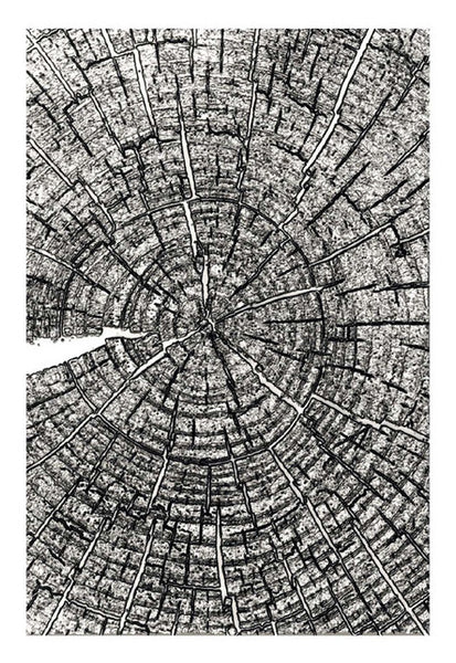 Sizzix, 3-D Texture Fades A5 Embossing Folder, Tree Rings by Tim Holtz (667258)