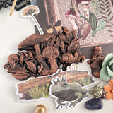 Prima Marketing Mould 5"X8", Nature Academia