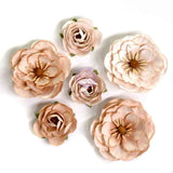 Prima Marketing, Paper Flowers 6/Pkg, Bewitched, Pumpkin Dust (#680565)