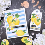 Spellbinders Etched Dies, La Dolce Vita, Citrus Spritz (S2-445)