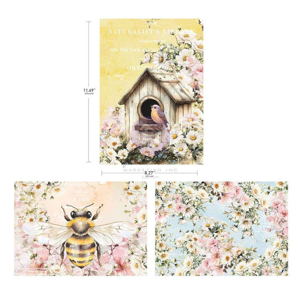 Prima A4 Decoupage Sheets 3/Pkg, Among the Wildflowers (682293)