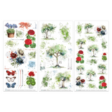 49 And Market, 6x12 Rub-On Transfer Set, Summer Porch Botanical by Katie Pertiet (SP-27761)