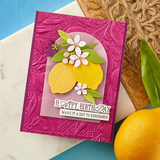 Spellbinders Etched Dies, La Dolce Vita, Citrus Spritz (S2-445)