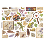 Stamperia, Chip-Board Die-Cuts, All Around (DFLDC133)