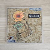 AALL & Create, #980 - A6 Clear Stamp Set - Anemone, Designed by Tracy Evans