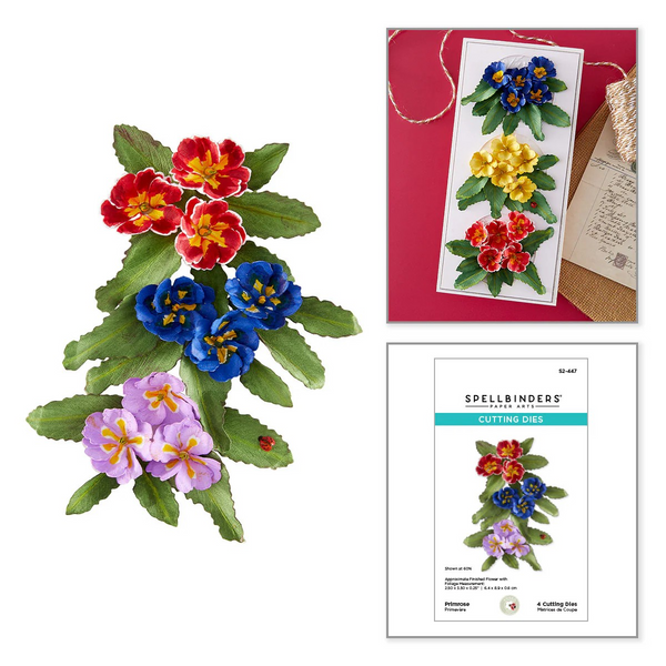 Spellbinders, Primrose Etched Dies by Susan Tierney-Cockburn (S2-447)