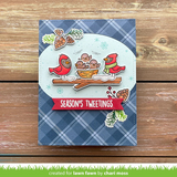 Lawn Fawn, Lawn Fawn Stamps & Dies Bundle, Winter Birds (LF3225 & LF3226)