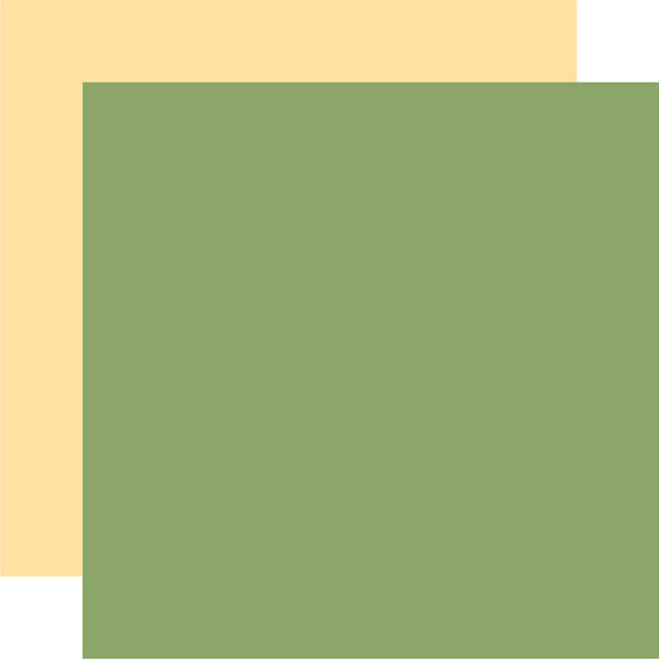 Echo Park Paper, 12X12 Coordinating Solid, Bee Happy, Green/Lt. Yellow