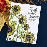 Spellbinders BetterPress Plate, Sunflower Field Press (BP-094)