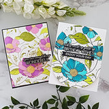 Spellbinders BetterPress Press Plate From The Pressed Posies, Cosmos Backdrop (BP-105)
