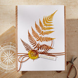 Spellbinders BetterPress Plate, From The Field Notes Collection, Lush Ferns (BP-228)