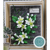 Craft Consortium Double-Sided Paper Pad 12"X12" 30/Pkg, Botany Boutique