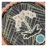 Craft Consortium Double-Sided Paper Pad 12"X12" 30/Pkg, Botany Boutique