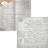 Elizabeth Crafts Double-Sided Cardstock Pack 12"X12", Backgrounds Volume 5 (C044)
