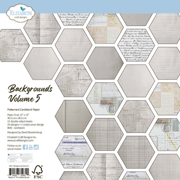 Elizabeth Crafts Double-Sided Cardstock Pack 12"X12", Backgrounds Volume 5 (C044)