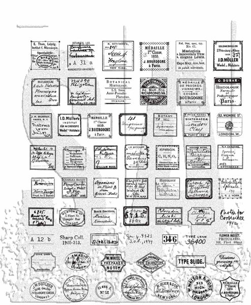 Tim Holtz Cling Stamps 7"X8.5", Curator (CMS493)