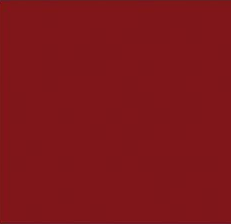 Bazzill Card Shoppe Heavyweight Cardstock 12"X12" (100lb), Peppermint