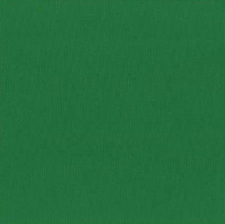 Bazzill Mono Cardstock 12"X12", Classic Green/Canvas, 80lbs