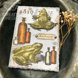 Creative Expressions, Clear Stamp Set 6"X8", By Sam Poole, Halloween Frogs