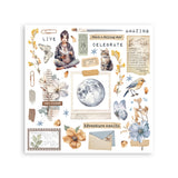 Stamperia, Assortment Rub-On Kit 6/Pkg, Create Happiness, Secret Diary