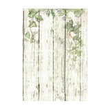 Stamperia, Assorted Mini Rice Paper Backgrounds A6 8/Sheets, House of Roses (DFSAK6039)