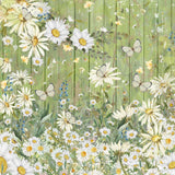 Crafter's Companion, Nature's Garden Printed Vellum Pad 8"X8" 24/Pkg, Delightful Daisies