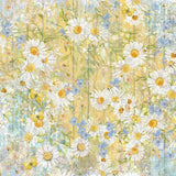 Crafter's Companion, Nature's Garden Printed Vellum Pad 8"X8" 24/Pkg, Delightful Daisies