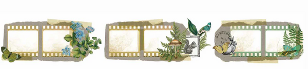 Arden Creative Studio, Hidden Creek Collection, Filmstrip Kiss-Cut PET Tape