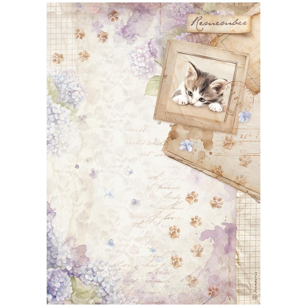 Stamperia Rice Paper Sheet A4, Quiet Days, Kitten (DFSA41072)
