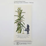 Lavinia Stamp, Clear Stamp, Herbalum Bob (LAV944)