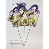 Lavinia Stamp, Clear Stamp, Rosemary & Thyme Pots (LAV948)
