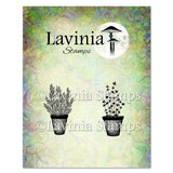 Lavinia Stamp, Clear Stamp, Rosemary & Thyme Pots (LAV948)