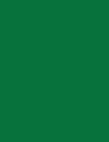 Hero Arts, 8.5X11 Hero Hues Premium Cardstock, Shamrock (100 lbs)