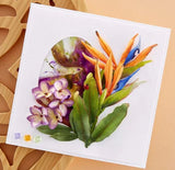 Spellbinders Etched Dies By Susan Tierney-Cockburn, Bird of Paradise (S4-1237)