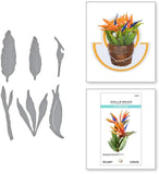 Spellbinders Etched Dies By Susan Tierney-Cockburn, Bird of Paradise (S4-1237)