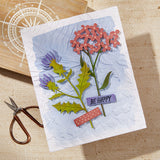 Spellbinders Etched Dies From The Field Notes, Wildflowers (S4-1369)