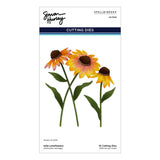 Spellbinders, Etched Dies by Simon Hurley, Wild Coneflowers (S4-1540)