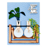 Spellbinders Etched Dies By Annie Williams, Propagation Garden Frames (S5-622)
