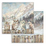 Stamperia, Scrapbooking Pad 8"X8" 10/Pkg, The Owl's House
