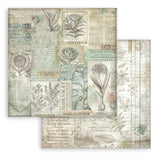 Stamperia, Double-Sided Paper Pad 8"X8" 10/Pkg, Herbarium Silvae (SBBS136)