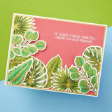 Spellbinders Stamp & Die Set By Annie Williams, Propagation Garden Sentiments (SDS-189)