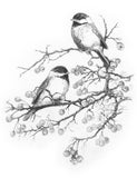 Royal & Langnickel, Sketching Made Easy, Standard - Chickadees With Winter Berries